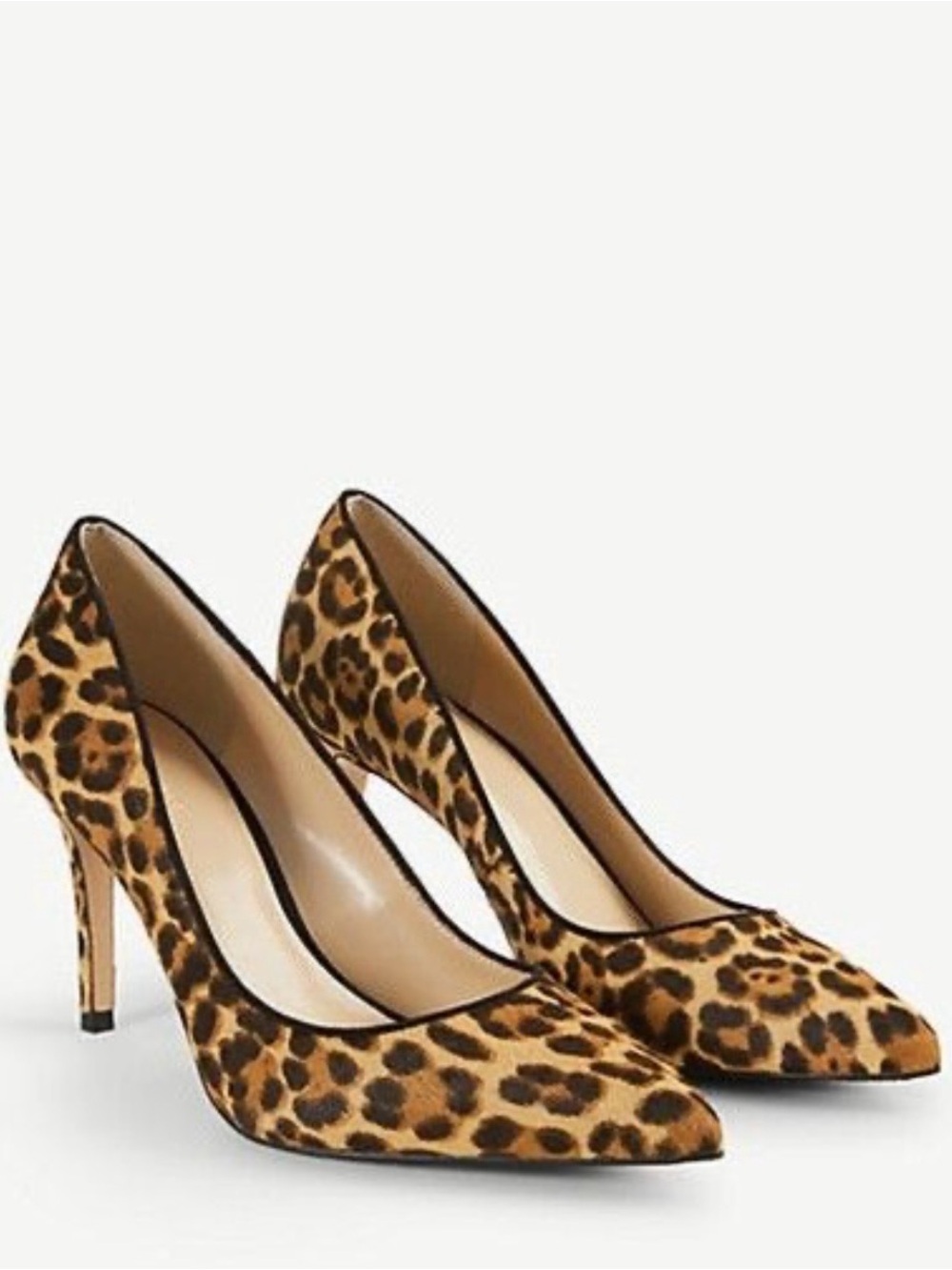Ann Taylor Leopard-Print Pointed Pumps in Brown and Black